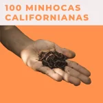 100-minhocas-californianas